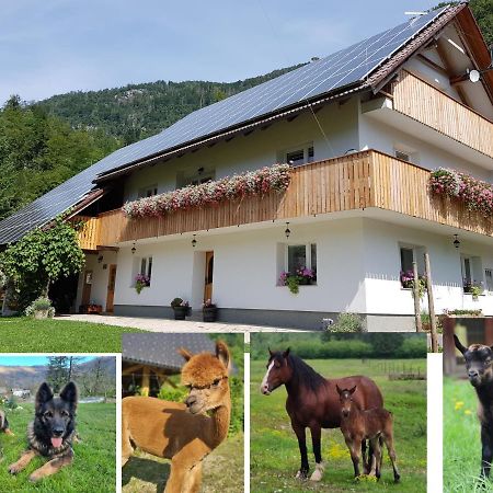 Domacija Loncnar- Apartment Bohinj Luaran gambar