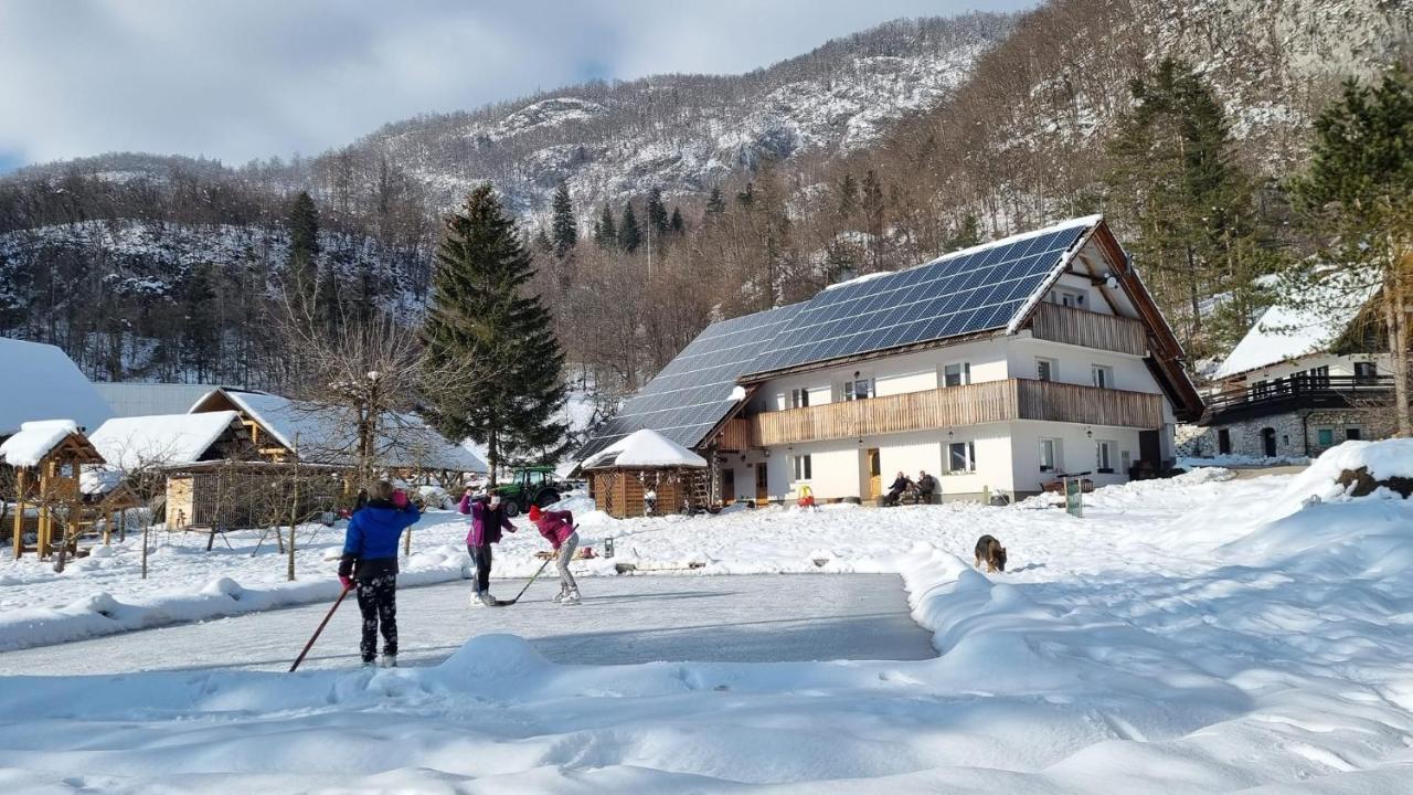 Domacija Loncnar- Apartment Bohinj Luaran gambar