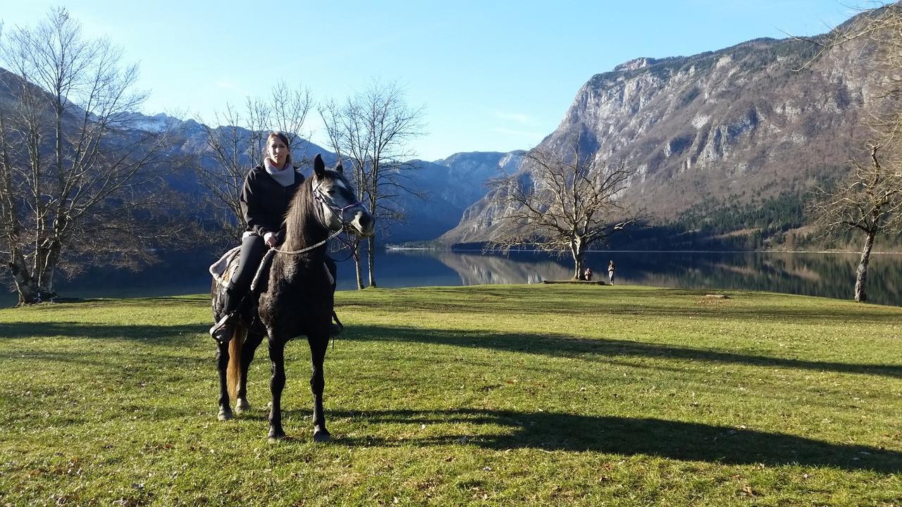 Domacija Loncnar- Apartment Bohinj Luaran gambar